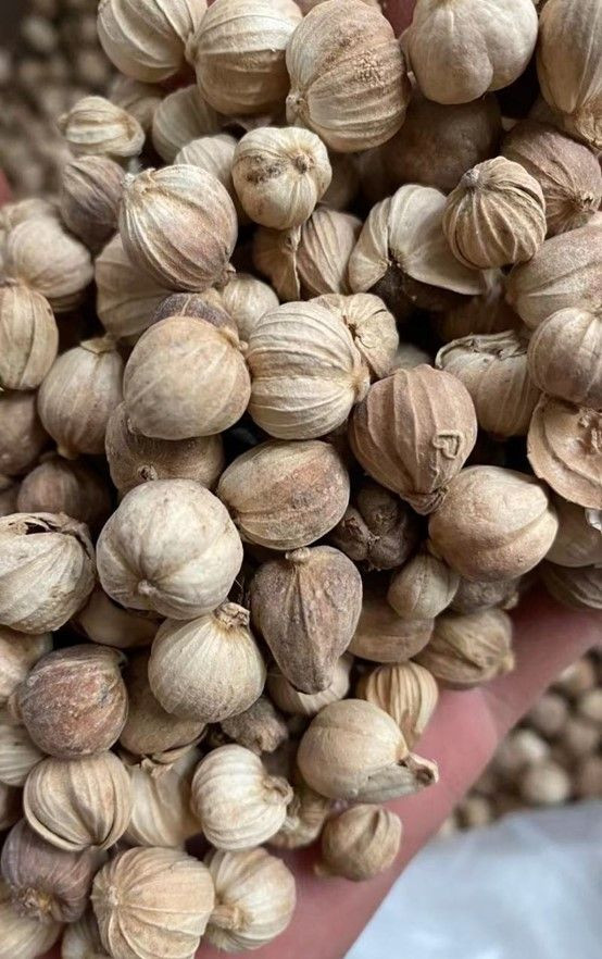 White Cardamom