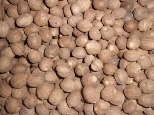 Nutmeg