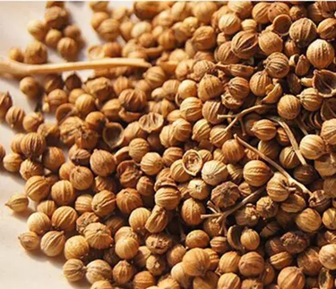 Coriander Seeds