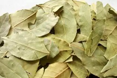 Bay Leaves
