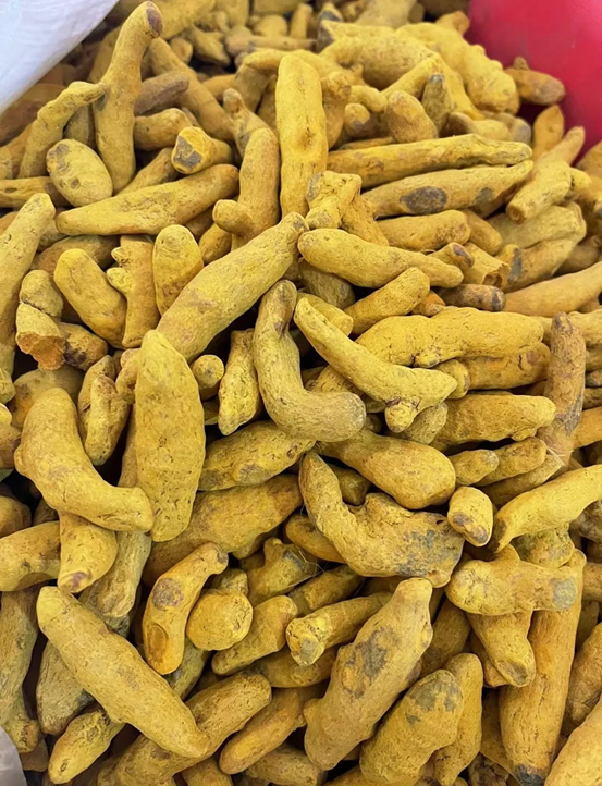 Turmeric