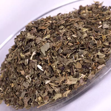 Basil